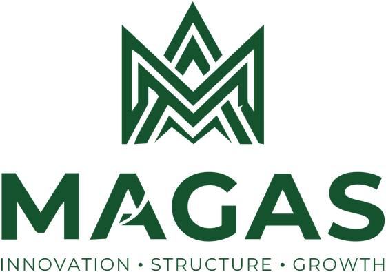 Magas — Innovation, Structure, Growth