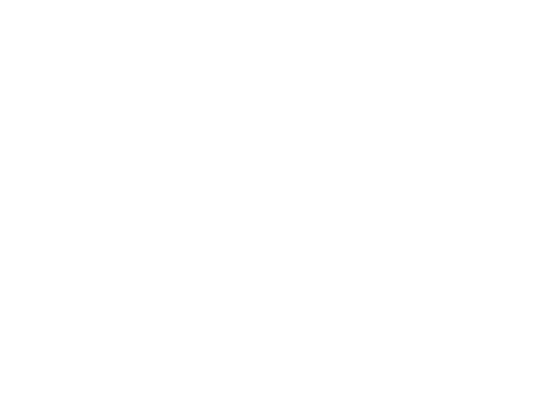 Magas — Innovation, Structure, Growth